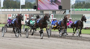 Major Secret seals the deal in the Camarda and Cantrill NSW Derby at Tabcorp Park Menangle today.