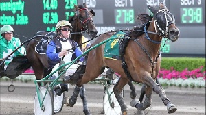 Keystone Del has an imposing record at Menangle but it's Victoria's biggest squaregaiting 