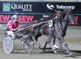 Claudys Princess in full flight. 