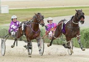 Major Crocker (inside) with Greg Sugars in the cart winning last season's Breeders Crown 3YO colts and geldings final. 