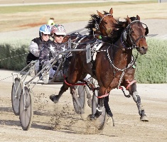 Flaming Flutter in full flight at Tabcorp Park Melton, part-owned by the late Garth Allen. 