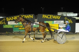 2013 Treuer Memorial winner Washakie.
