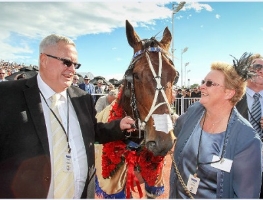 Cup Champion: Brilliant mare Adore Me claimed the 2014 New Zealand Trotting Cup at Addington