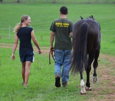 Where to now? Photo by Amanda Rando. 2014 Photograph of the Year