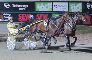 Cold Major can lead the field in the Ballarat Pacing Cup - but can he win the race? 