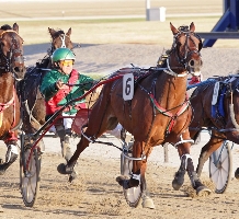 Diamond Ace and John Newberry, pictured winning at Melton. 