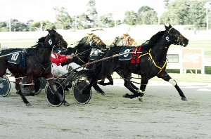 Top race mare Cornsilk notches a win. 