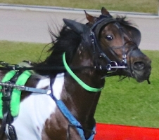 Ants Inhis Pants sold to Ireland