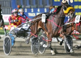 A half-sister to top filly Vista Bella (pictured) will be raced by a newly formed Cranbourne Raceapacer syndicate. 