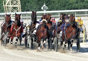 Metro field sizes will increase in Victoria from July 5