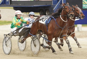 The Orange Agent winning at last year's Breeders Crown Finals meeting. 