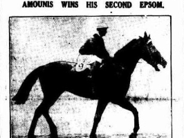 Amounis the thoroughbred won numerous features - the standardbred Amounis will have her first Australian start tonight