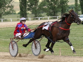 Happy To Go in full flight at Blayney on Sunday