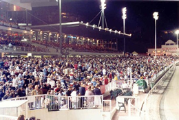 Gloucester Park Crowds